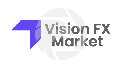 Vision FX Market