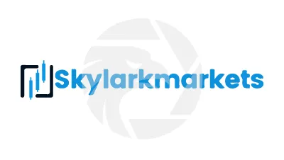 SkyLark Markets
