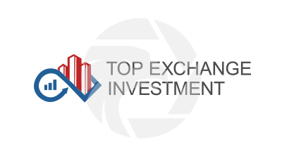 topexchangeinvestment.pro