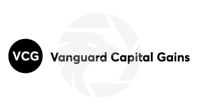 Vanguard Capital Gains