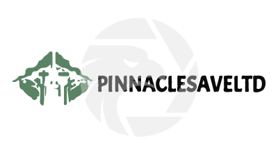 pinnaclesaveltd.top