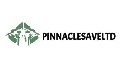 pinnaclesaveltd.top