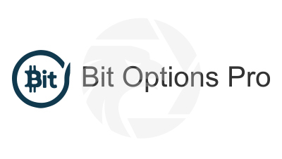 Bit Options Pro