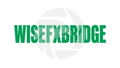 Wisefxbridge