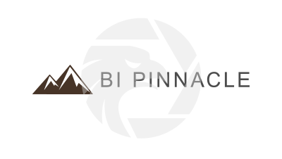 Bi Pinnacle Global保豐國際集團