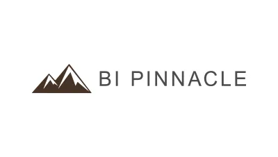 Bi Pinnacle Global