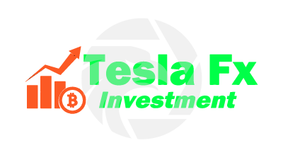 Tesla Trade Investment