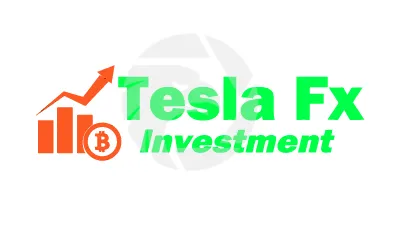 Tesla Trade Investment