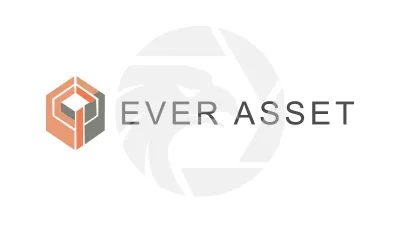 EverAsset