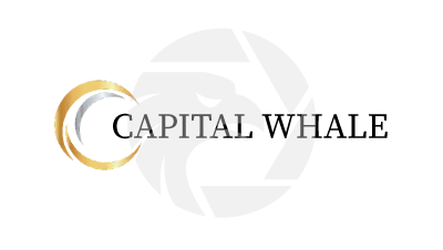 Capital Whale