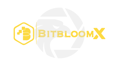 BITBLOOMX