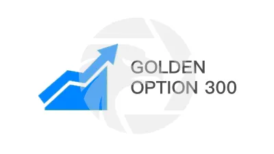 GOLDEN OPTION 300