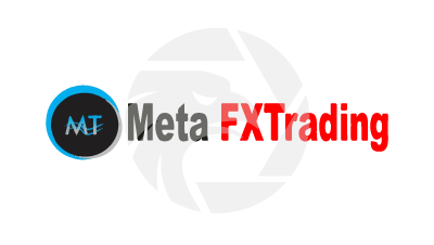 Meta FX Trading