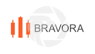 Bravora Expert