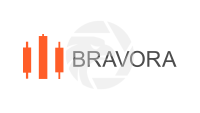 Bravora Expert