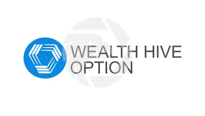 WEALTH HIVE OPTION