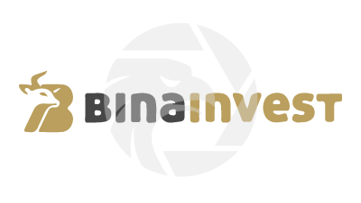 Binainvest