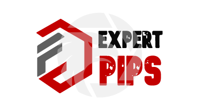 EXPERT PIP