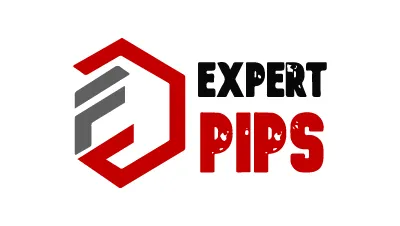 EXPERT PIP