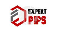 EXPERT PIP