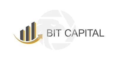 Bit Capital