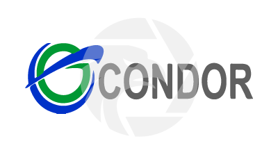 Condor Capital markets