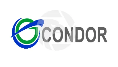 Condor Capital markets