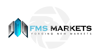 FMS Markets费曼集团