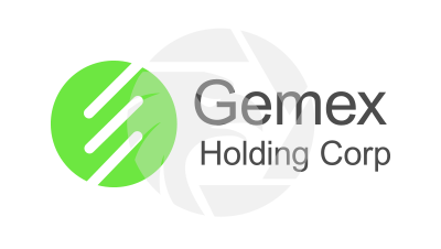 Gemex Holding Corp