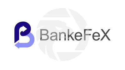BankeFeX