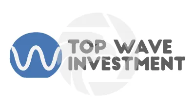 Top Wave Investment