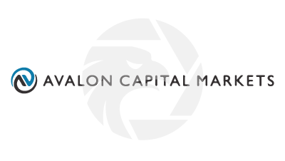 Avalon Capital Markets