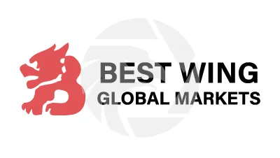 BEST WING GLOBAL MARKETS