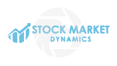 Stock  Market Dynamics
