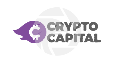 Crypto Capital Profits