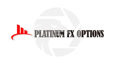 Platinum FX Options