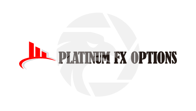 Platinum FX Options
