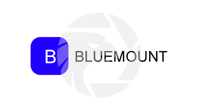 BLUEMOUNT蓝山集团