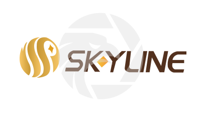 Skyline天一集團