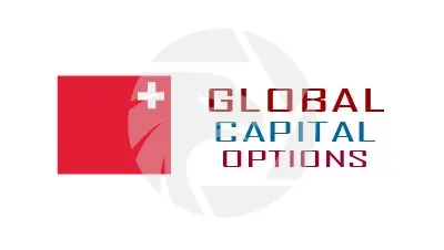 GLOBAL CAPITAL OPTIONS