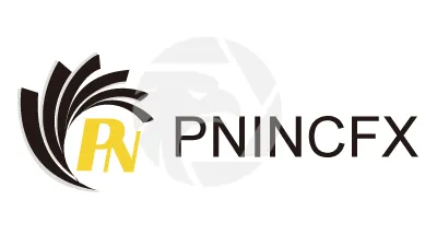 PNINCFX派恩