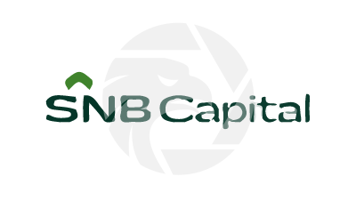 SNB Capital