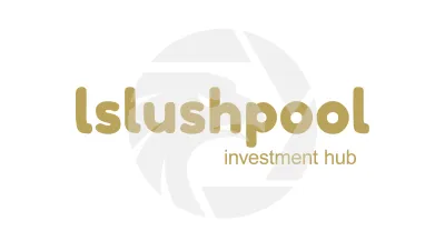 lslushpool investment hub