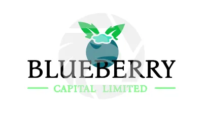 BlueBerry Capital