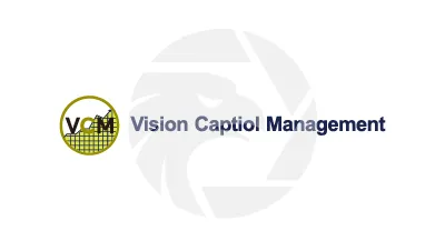 VCML