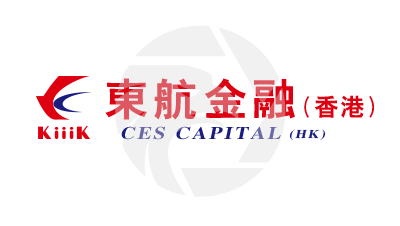 CES CAPITAL