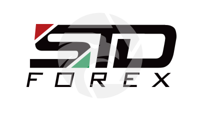 StdForex标准外汇