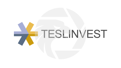 Teslinvest LTD