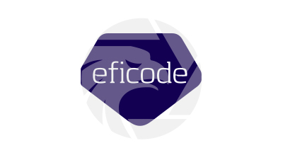 Eficode Investment