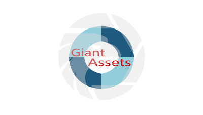 GIANT ASSETS